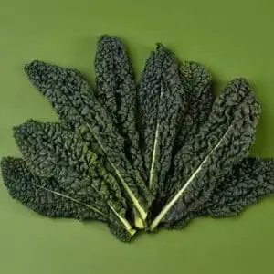 Fresh Cavolo Nero Cabbage 1kg