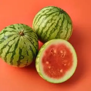 Large Watermelon 4.5kg