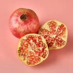 Pomegranate 1x1