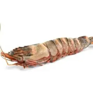 Banarly Black Tiger Prawn (head on & shell on) 2kg