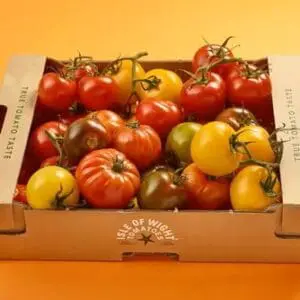 British Isle Of Wight Heirloom Tomato 3kg
