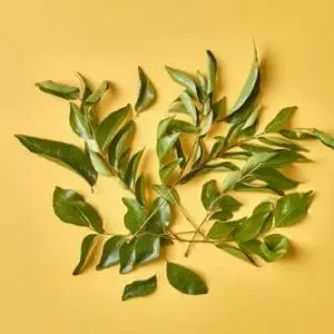 Fresh Curry Leaves 50g