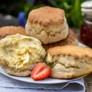 Haywood & Padgett Buttermilk Large Scone 40x100g