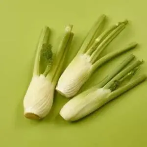 Fresh Baby Fennel 200g