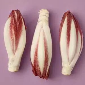 Red Chicory 500g