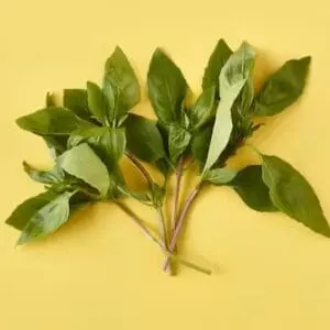 Thai Basil 100g