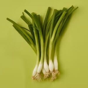 Fresh Spring Onions 1x20