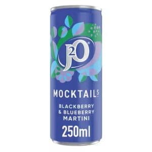J2O Mocktails Blackberry Blueberry Martini 12x250ml
