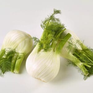 Fresh Fennel 2kg