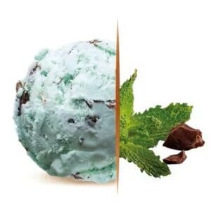 Carte D'or Gelateria Mint & Chocolate Ice Cream 5.5L