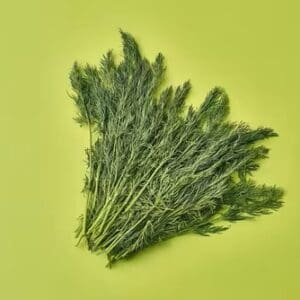 Fresh Herb Bunched Dill 100g