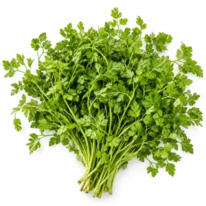 Fresh Bunched Chervil 100g – Fresh Green Chervil Herb Sprigs