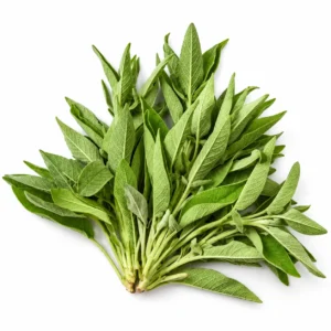 Fresh Herb Bunched Sage 100g – Fresh Whole Sage Sprigs